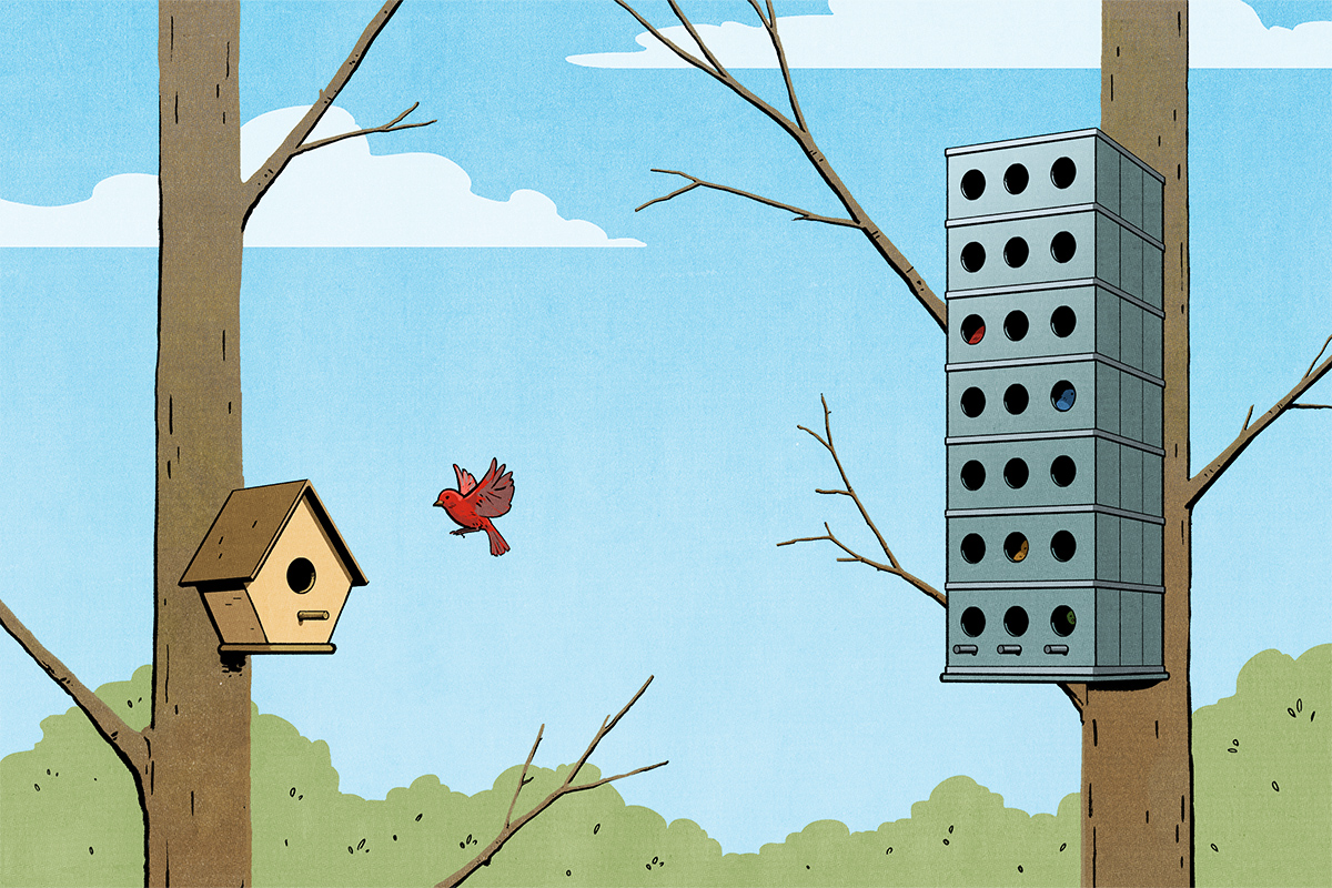 Remote Work Conceptual editorial illustration of two trees, one with a traditional, peak-roof bird house, and one with a tall, multi-storey tower of a birdhouse, and a red bird flying from the tower to the small peak-roofed bird house. Illustration by Jori Bolton for Harvard Business Review.